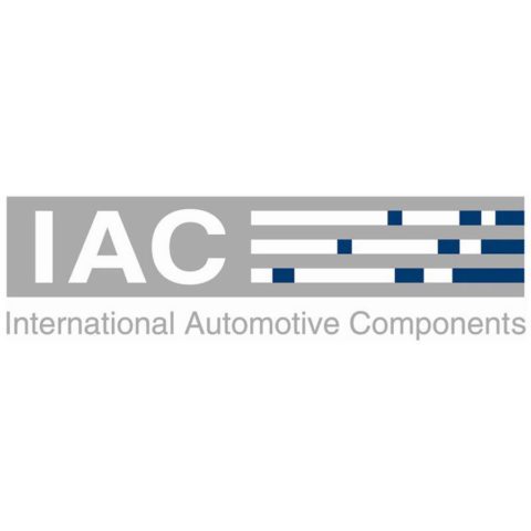 International Automotive Componentes